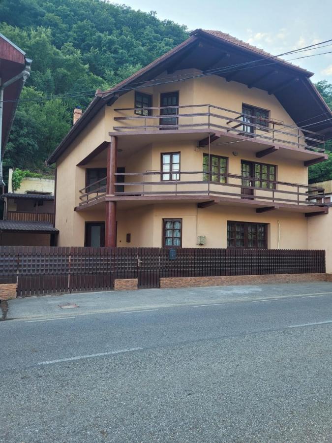 Casa Basu Villa Băile Herculane Buitenkant foto