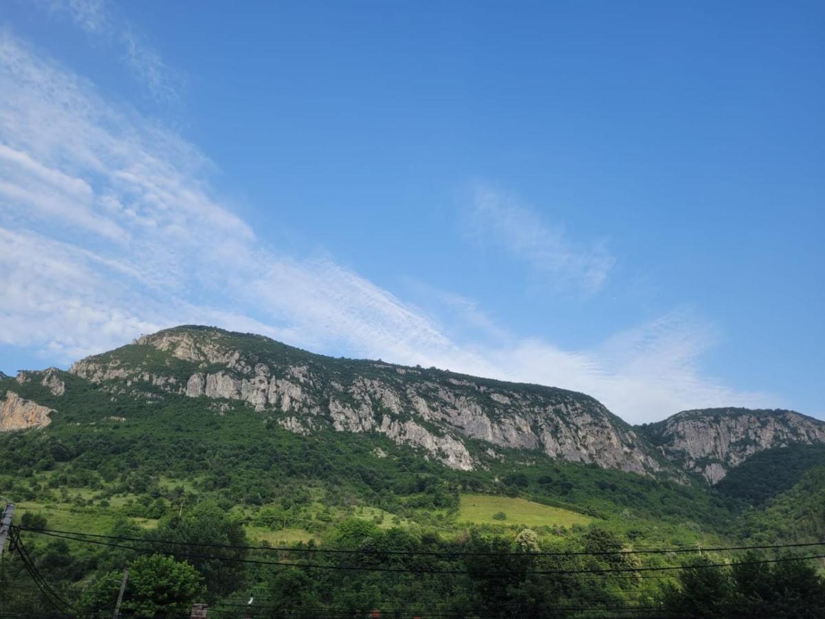Casa Basu Villa Băile Herculane Buitenkant foto