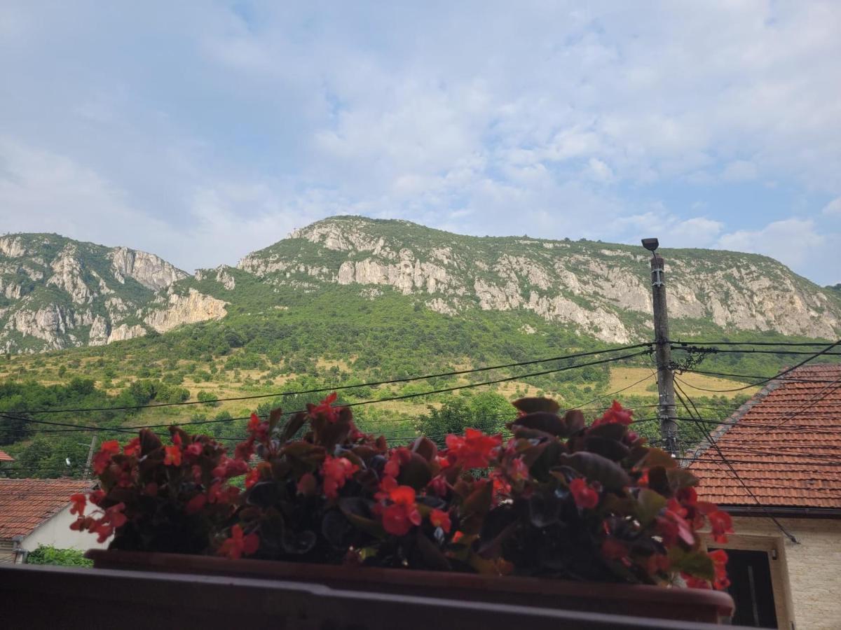 Casa Basu Villa Băile Herculane Buitenkant foto