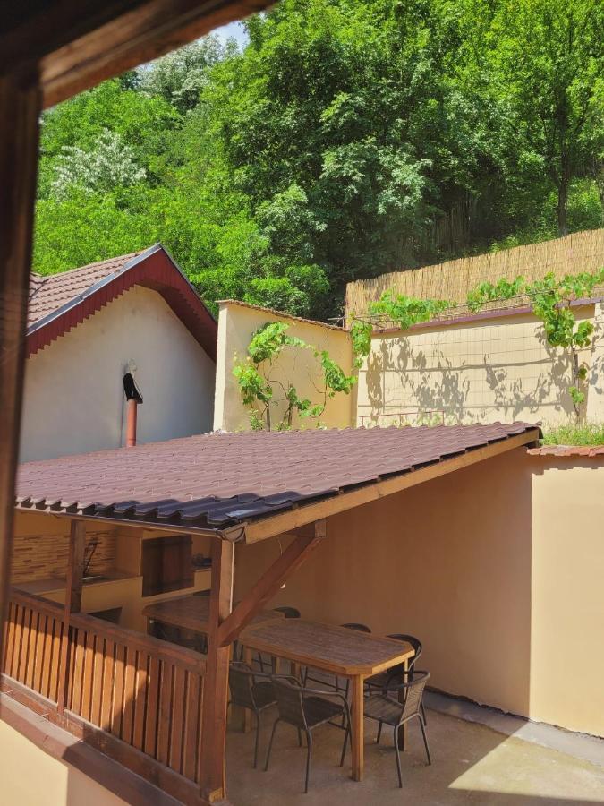 Casa Basu Villa Băile Herculane Buitenkant foto